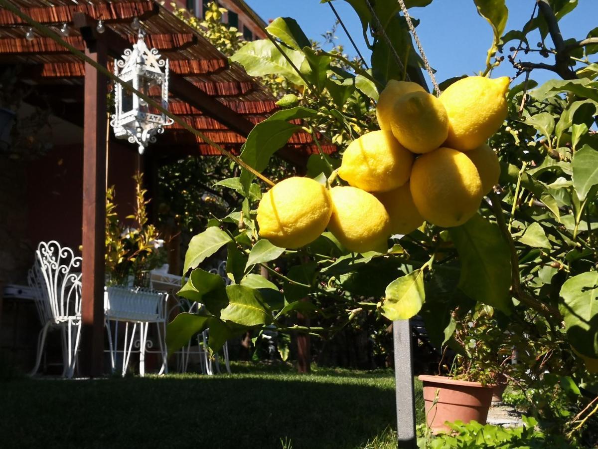 Florinda Lemon'S Suite Cervo Zewnętrze zdjęcie