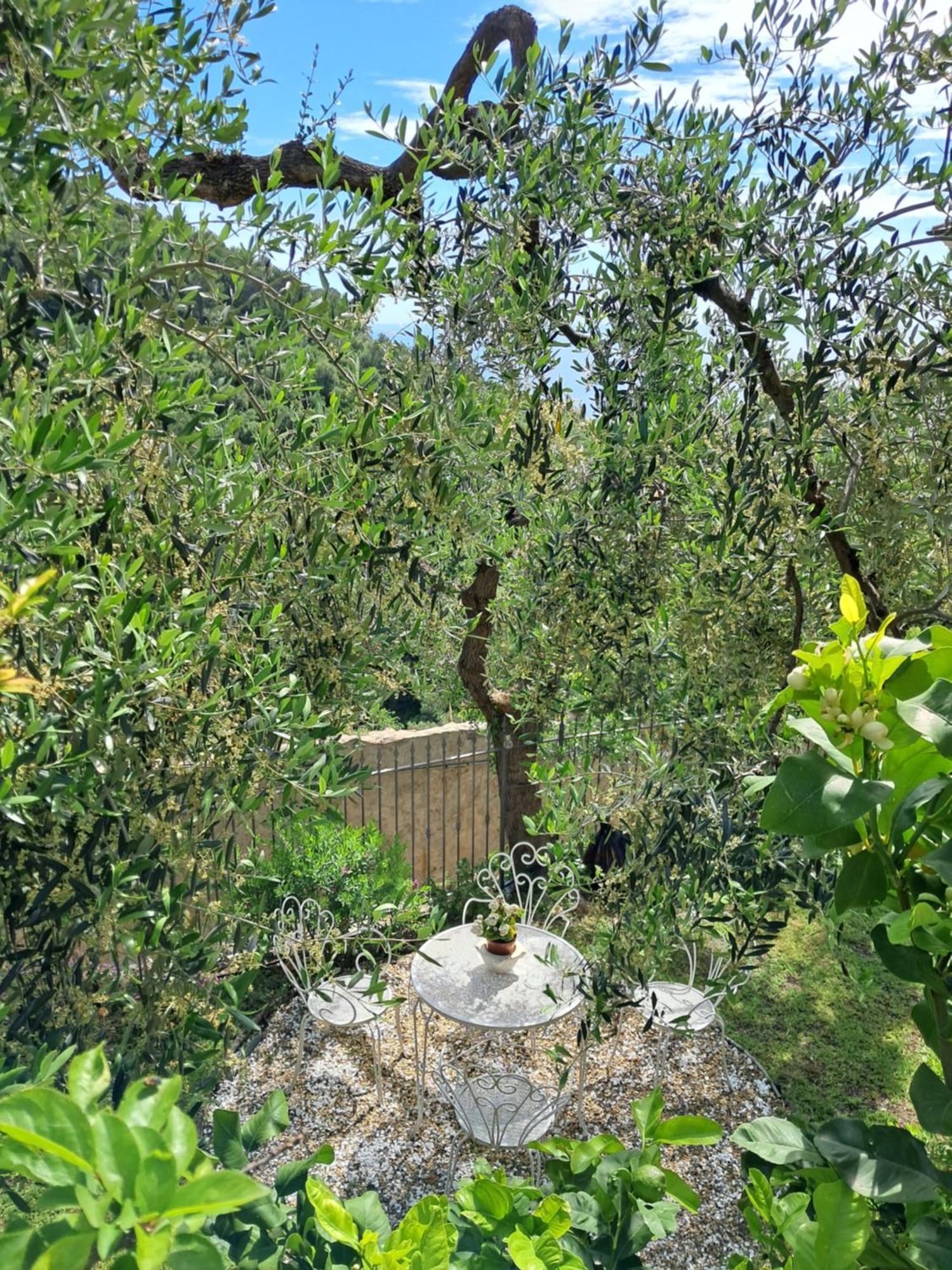Florinda Lemon'S Suite Cervo Zewnętrze zdjęcie