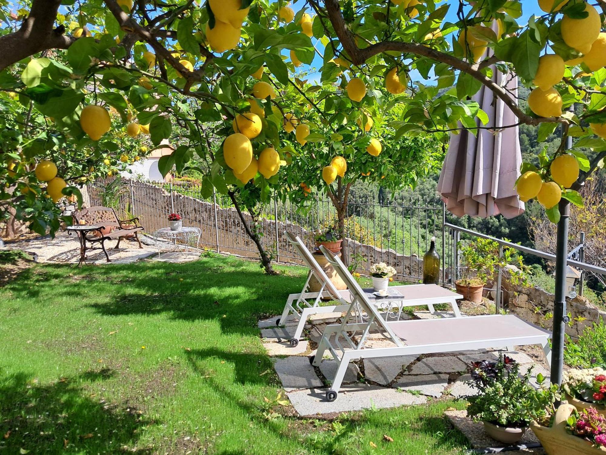Florinda Lemon'S Suite Cervo Zewnętrze zdjęcie